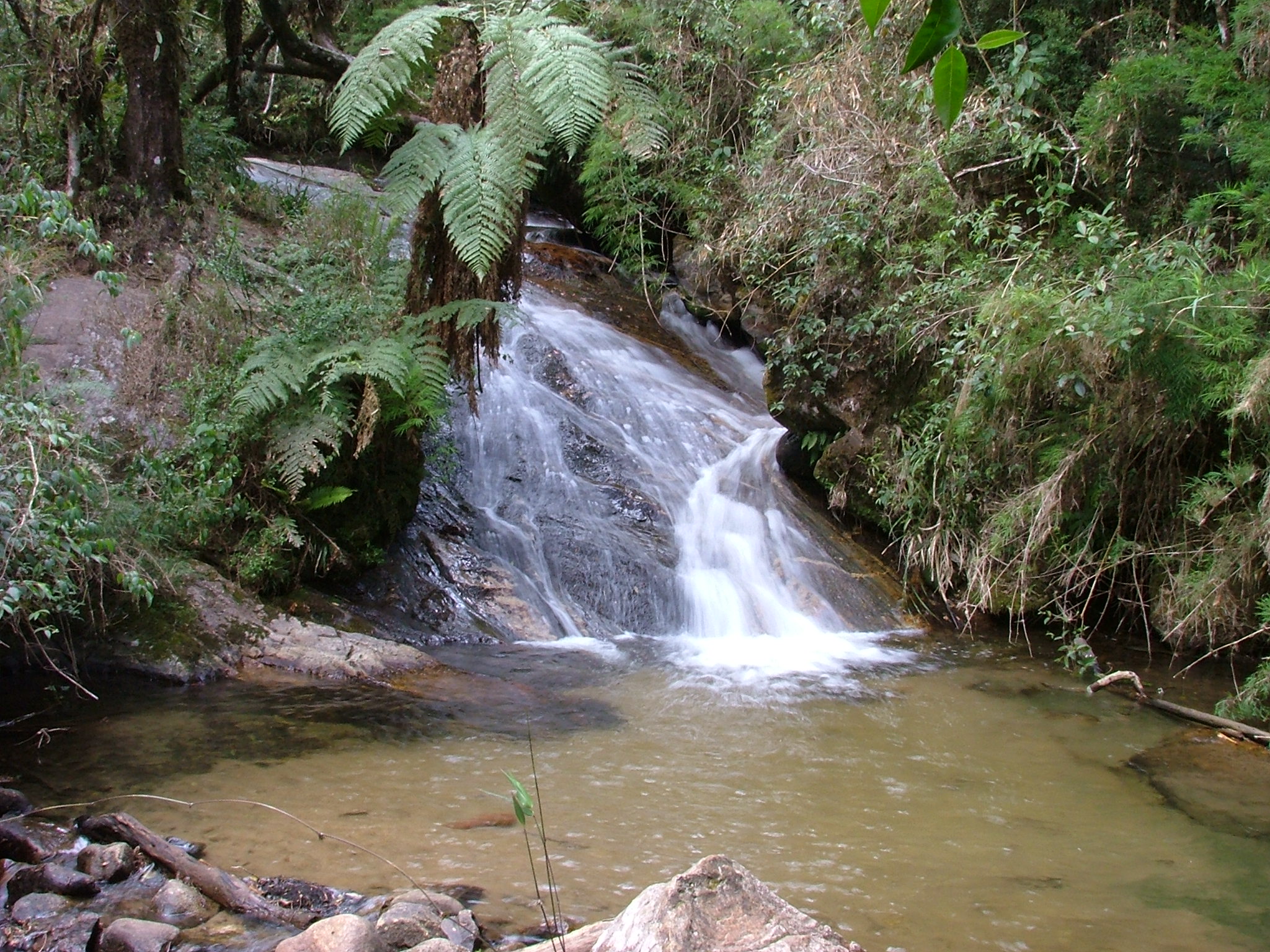 2007_1014Campos_do_Jordão0038