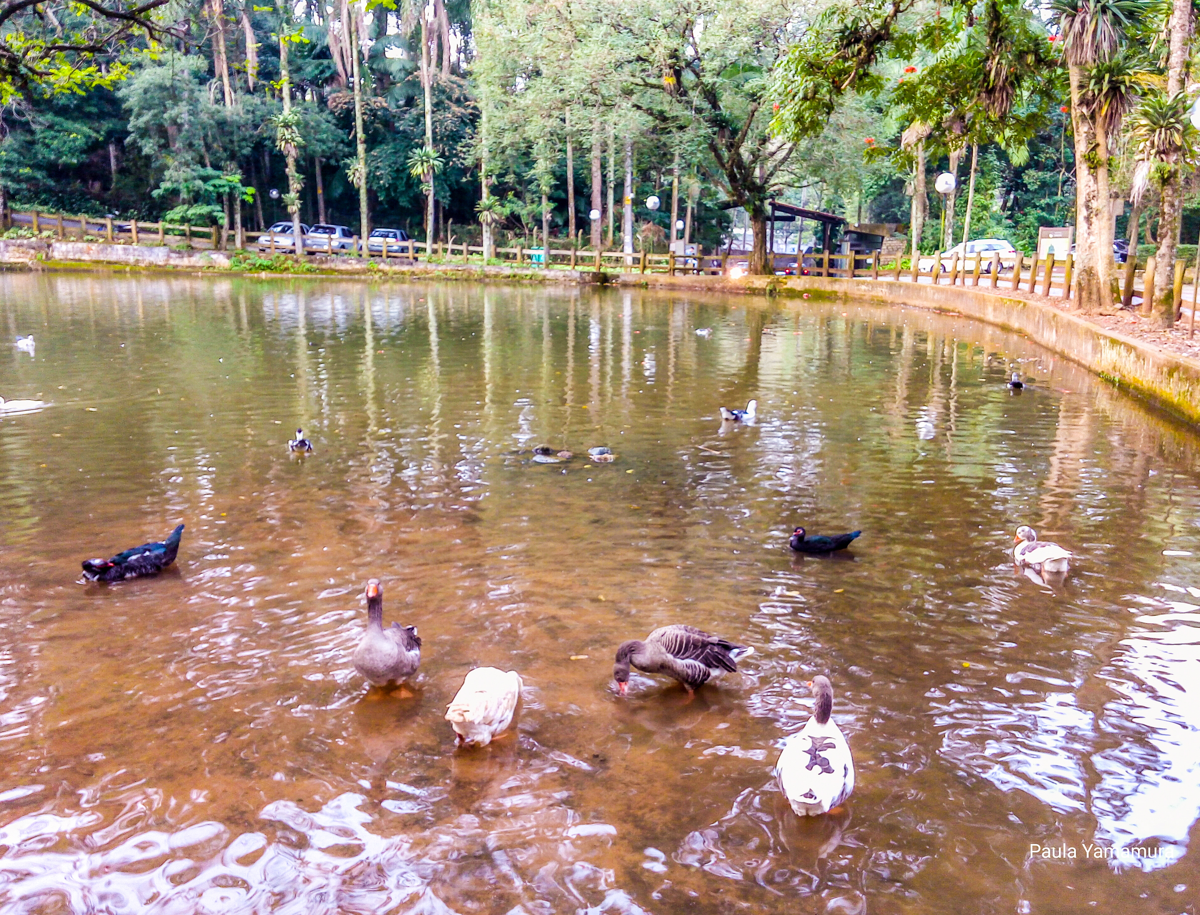 2017.05 Jaguará lago