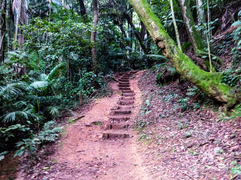 LRM_EXPORT_20170528_215456