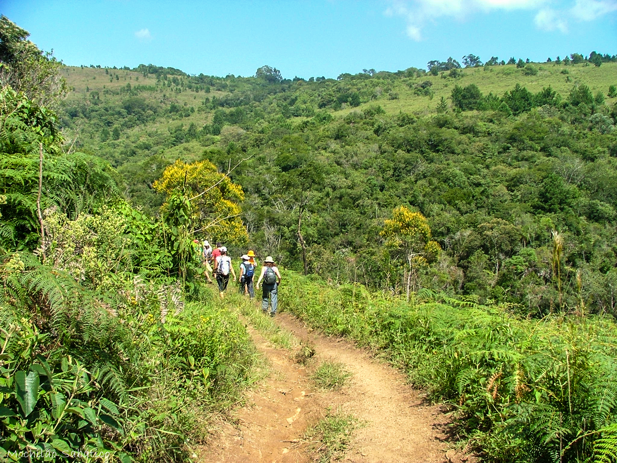 Trilha para cachoeira do Lageado Grande (Sengés, PR)