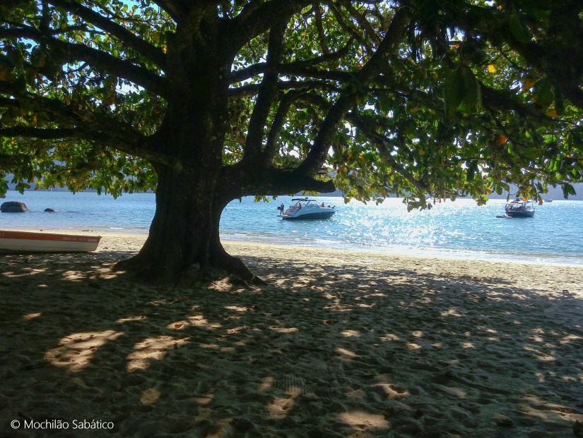 Descansando na praia do Engenho (Reserva Ecológica da Juatinga)