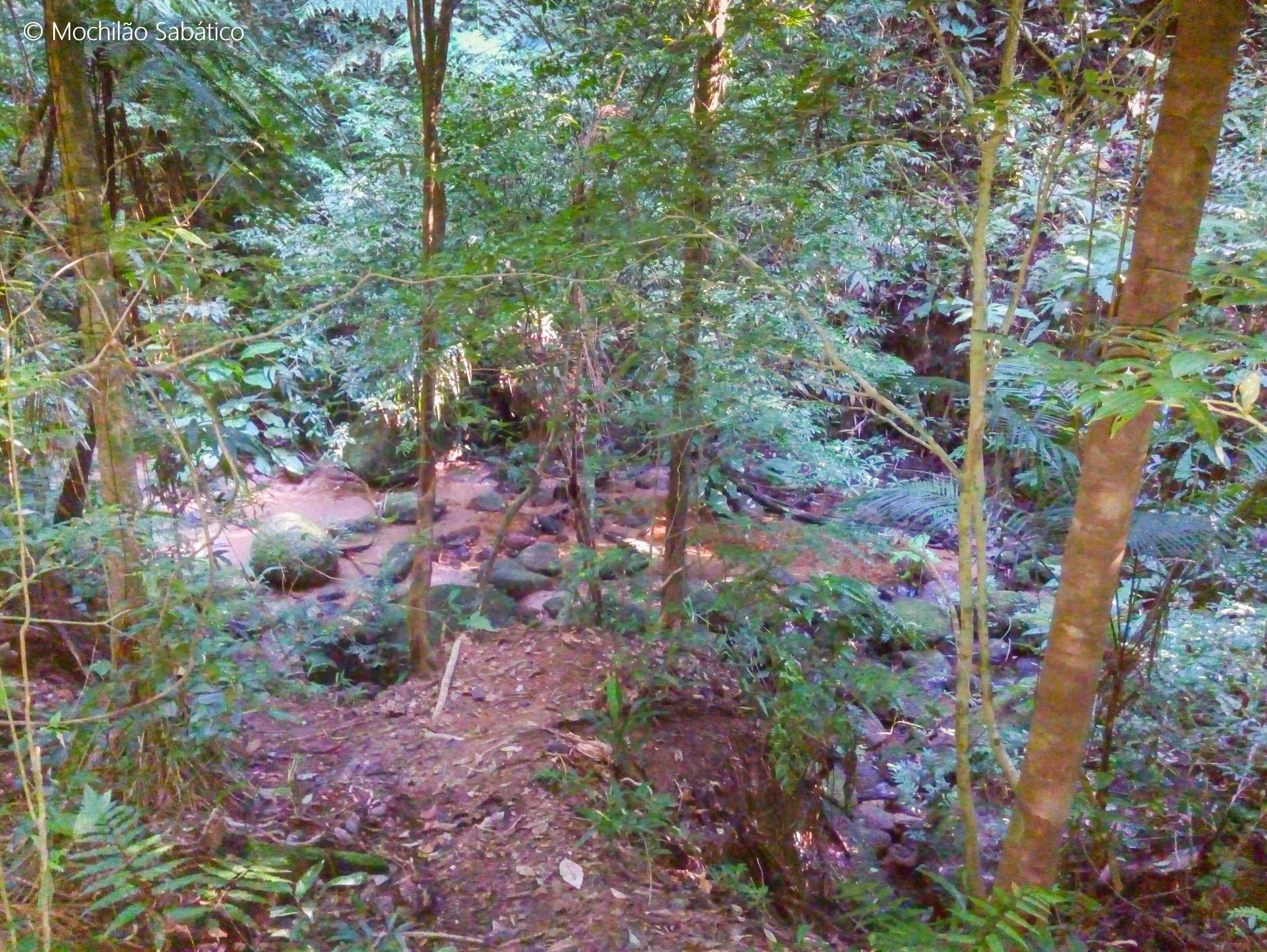 Início da trilha de Cairuçu das Pedras para Ponta negra