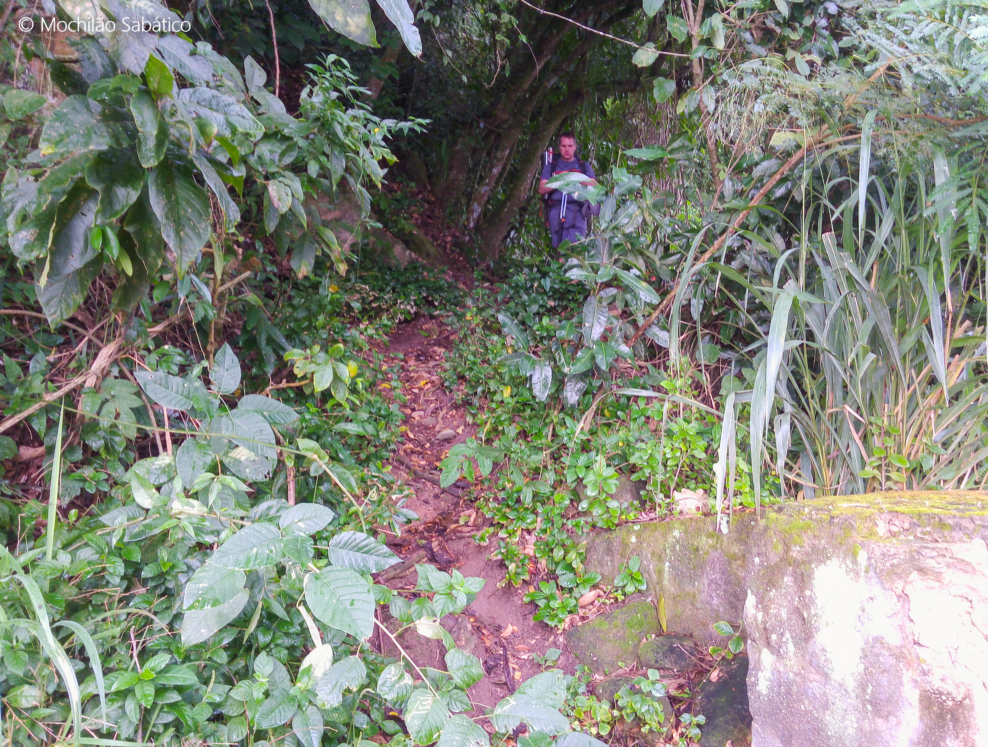 Início trilha Paraty Mirim