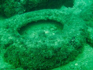 Mergulhando em Ubatuba (SP)