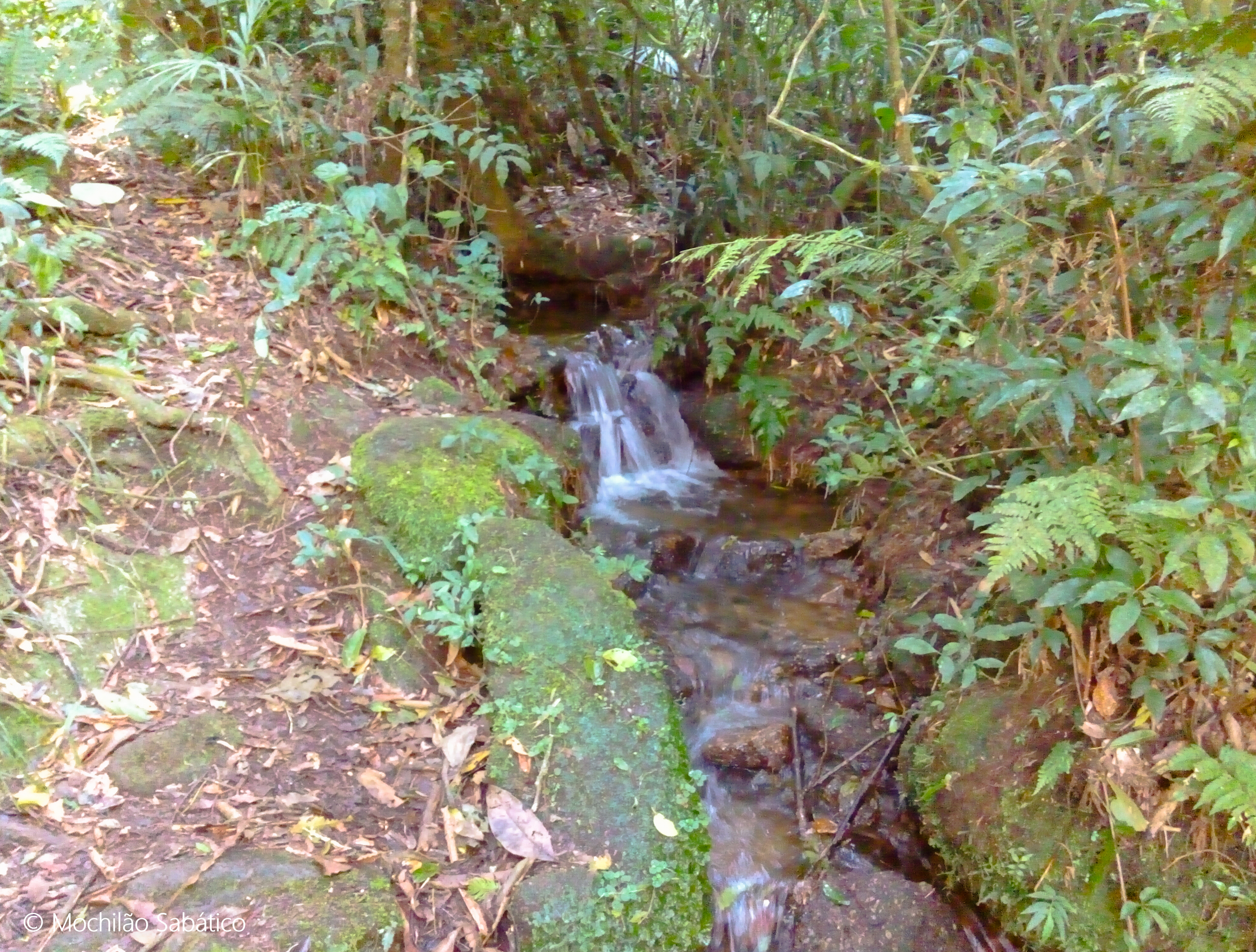 Primeira água da trilha do Jorge, rumo ao Pico da Onça (São Francisco Xavier, SP)
