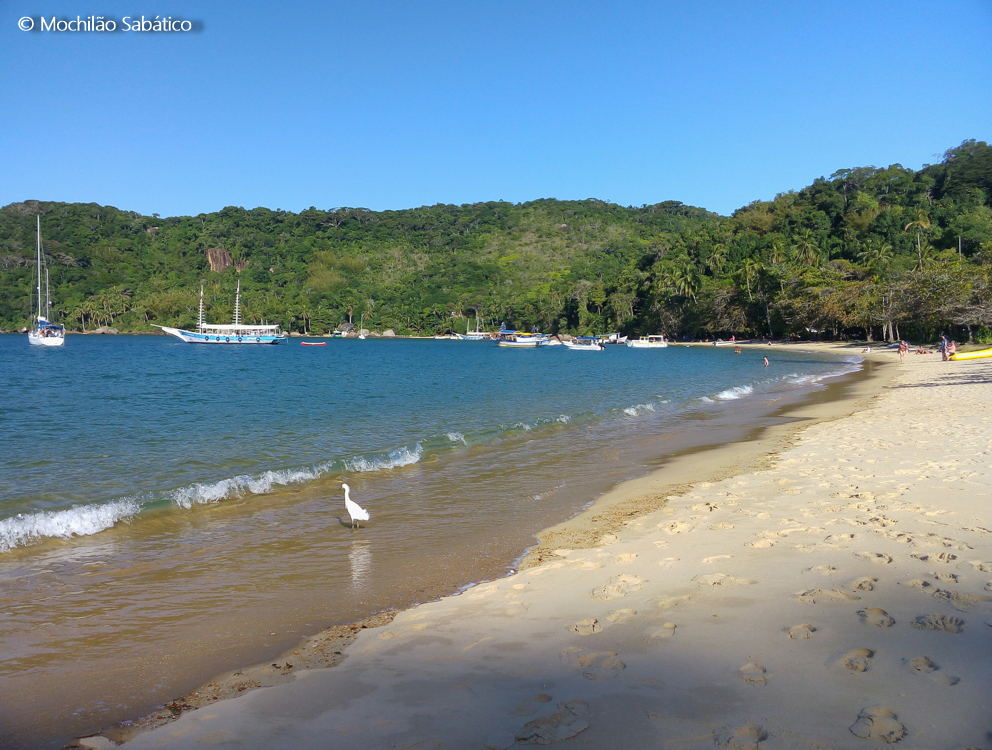 20170727_151200 mangue