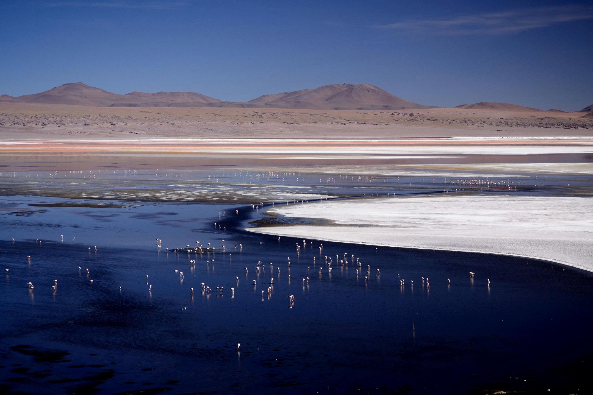 laguna_colorada