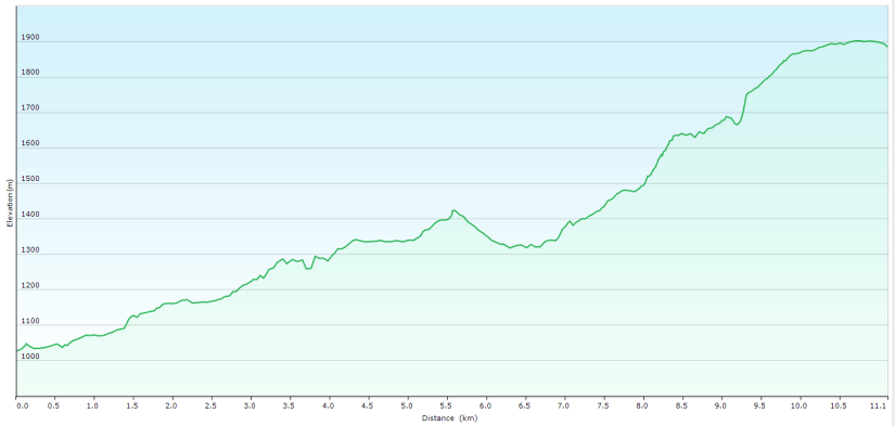 Elevação do dia 1 - travessia Aiuruoca a Maringá (Serra da Mantiqueira)