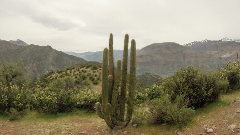 SAN JOSE DE MAIPO – tentativa de travessia de Toyo a Pirque