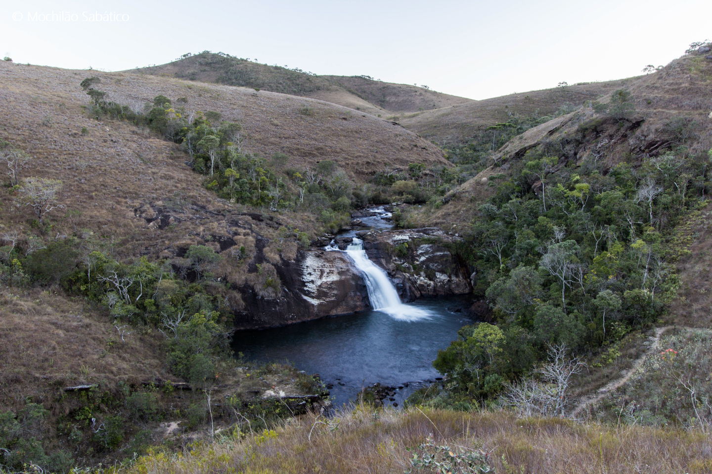 Papagaio Charco