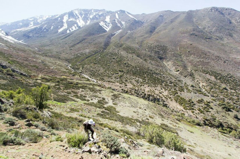 cerro del Medio Yerba Loca santiago Chile
