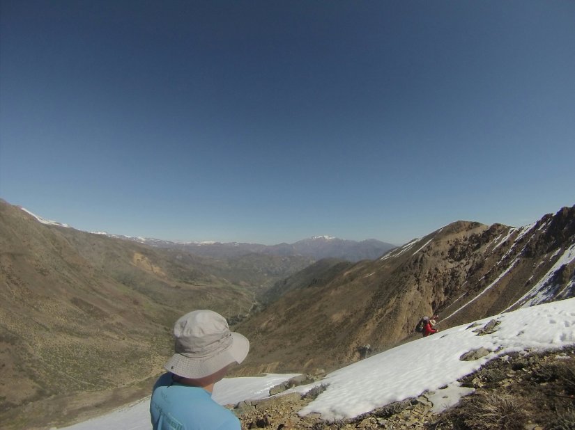 Manchón yerba loca santiago chile