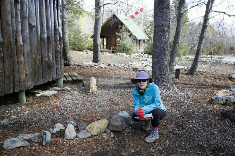 Zorro Chile_Altos_de_Lircay_Talca_San_Clemente