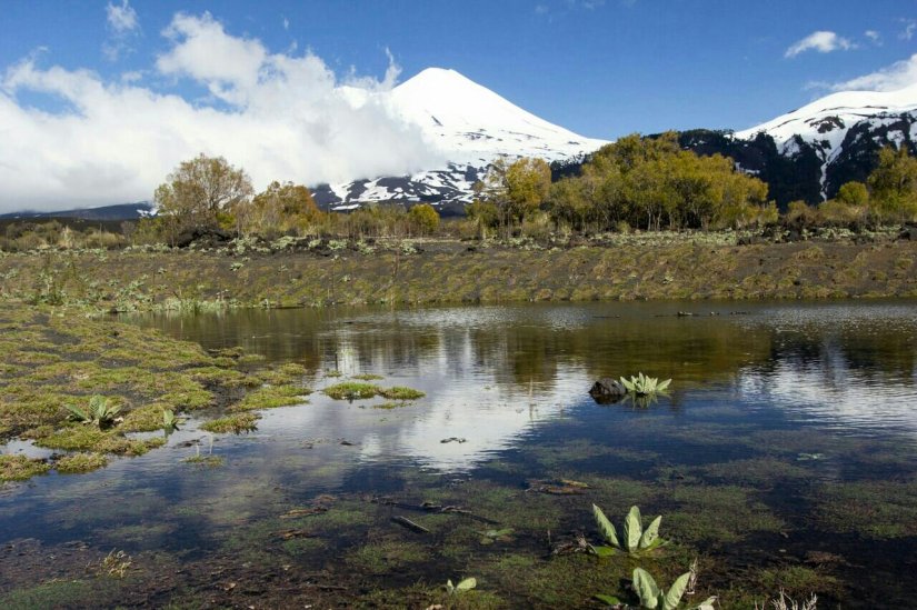 Conguillio_Araucanía