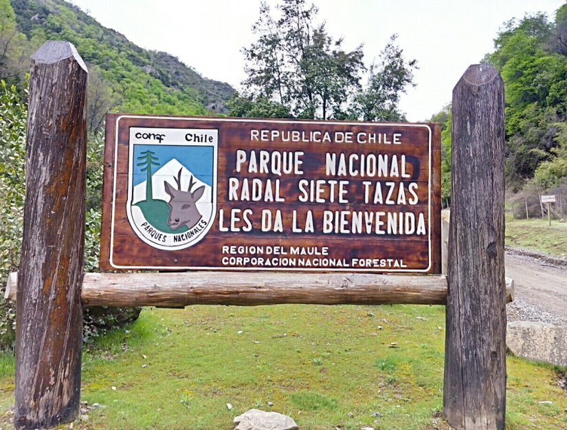 Rada Siete Tazas placa Chile Molina Radal Siete Tazas