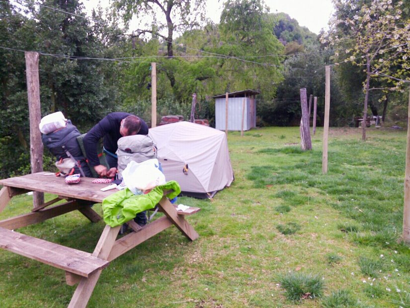 Radal Chile Molina Radal Siete Tazas