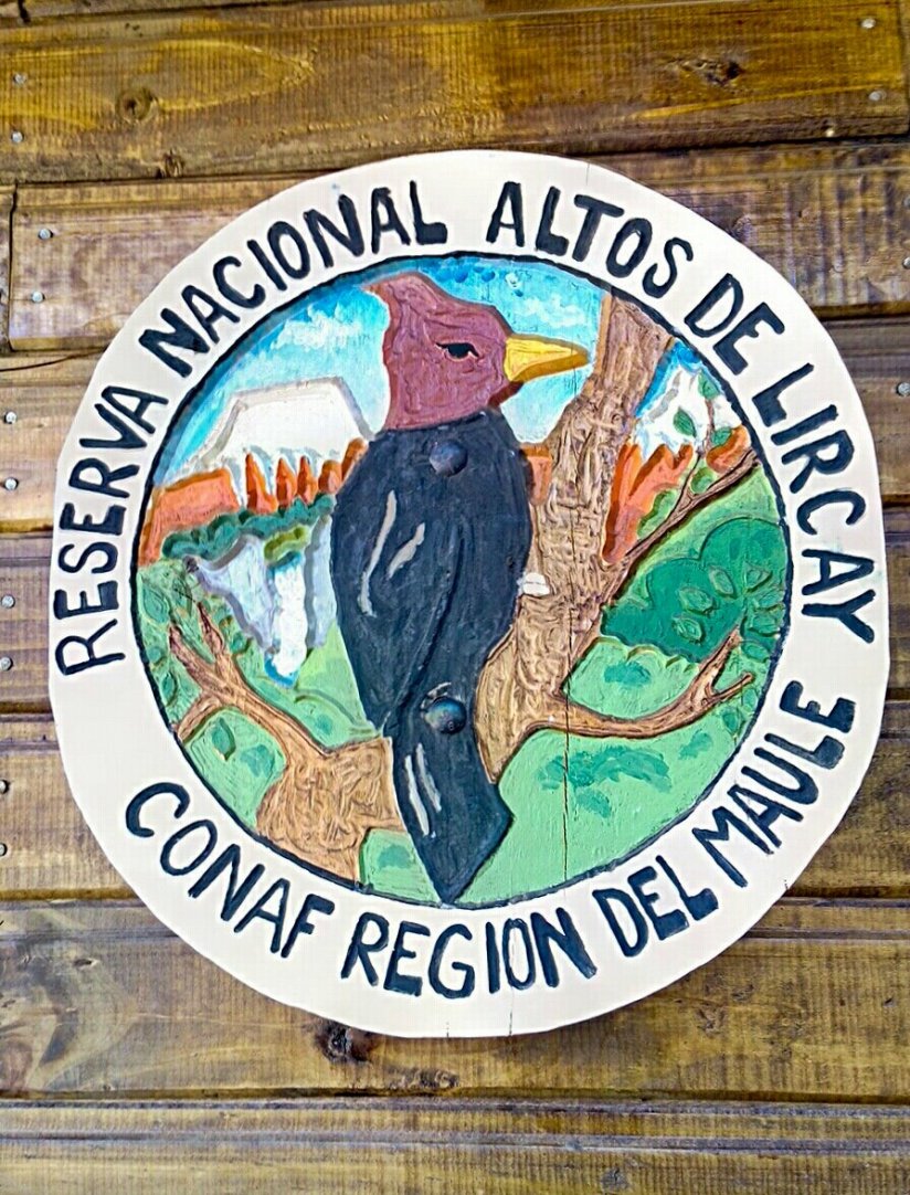 Altos de Lircay Chile_Altos_de_Lircay_Talca_San_Clemente