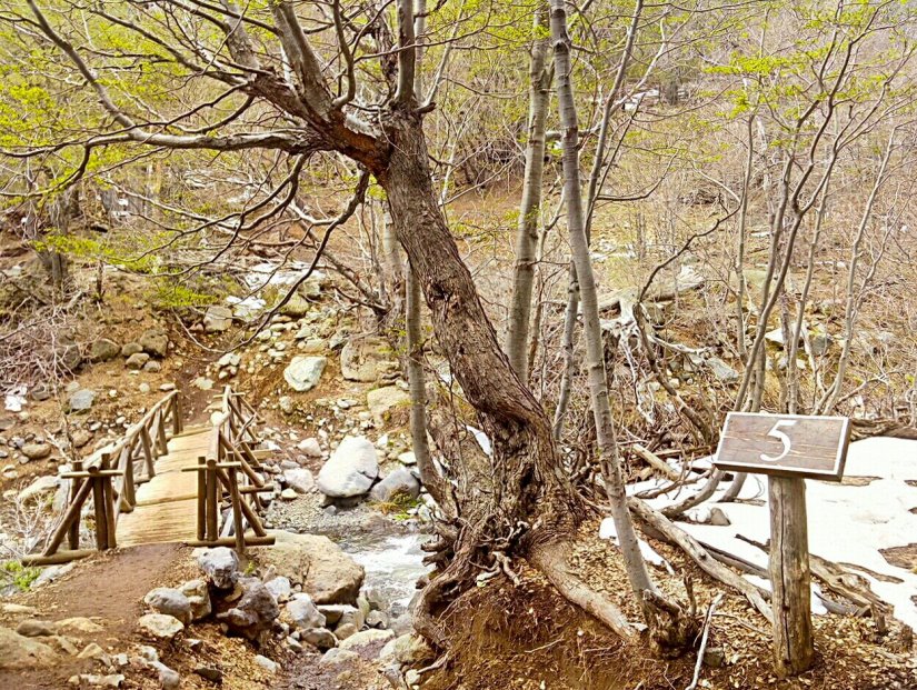 trilha mirador valle del venado 5 Chile_Altos_de_Lircay_Talca_San_Clemente