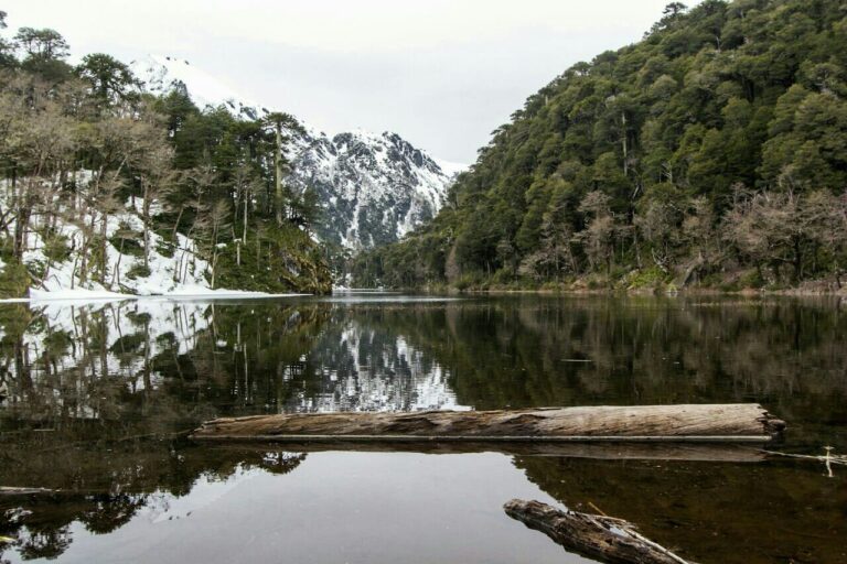 PARQUE NACIONAL HUERQUEHUE – o parque dos lagos
