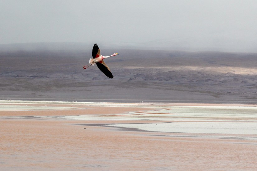 LRM_EXPORT_20180112_195819