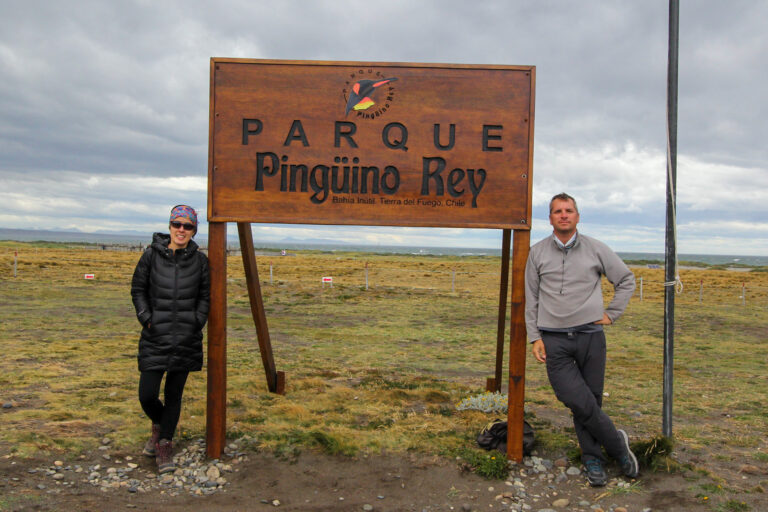 PINGÜINO REY – o elegante na Tierra del Fuego