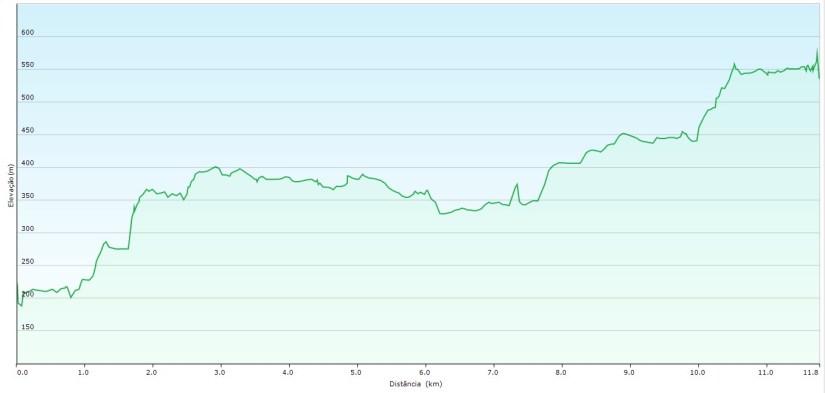 elevação TDP dia 7