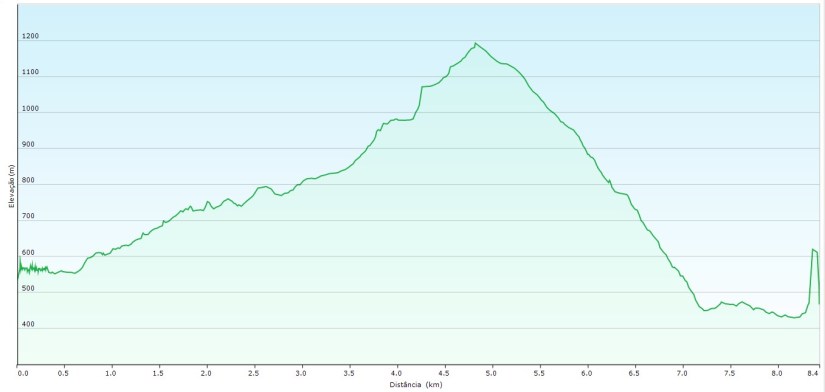 elevação TDP dia 8