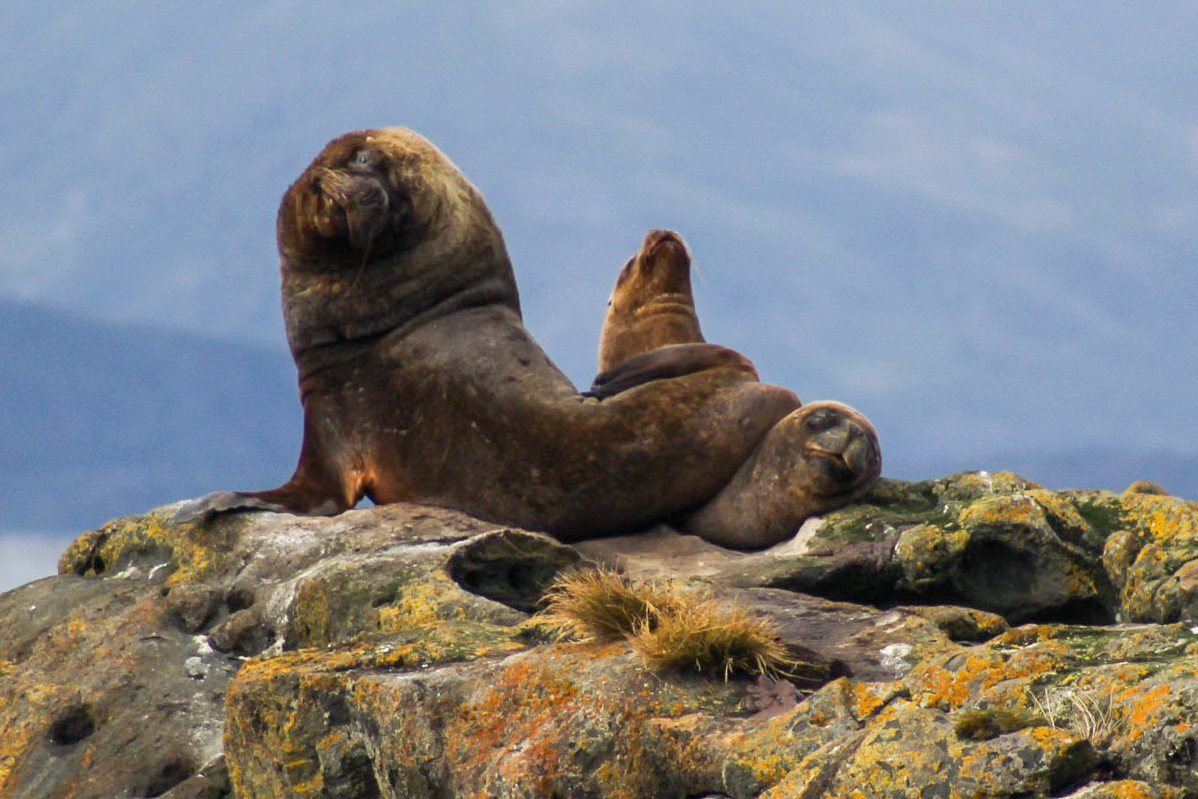 LRM_EXPORT_20180331_154946