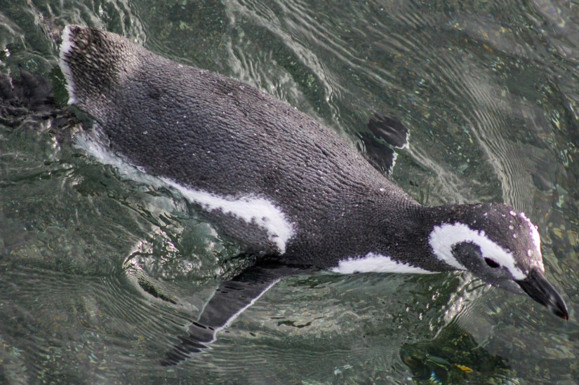 LRM_EXPORT_20180217_191040