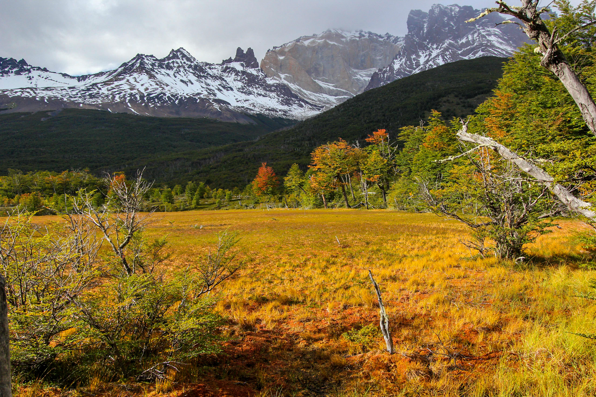 Torres del Paine
