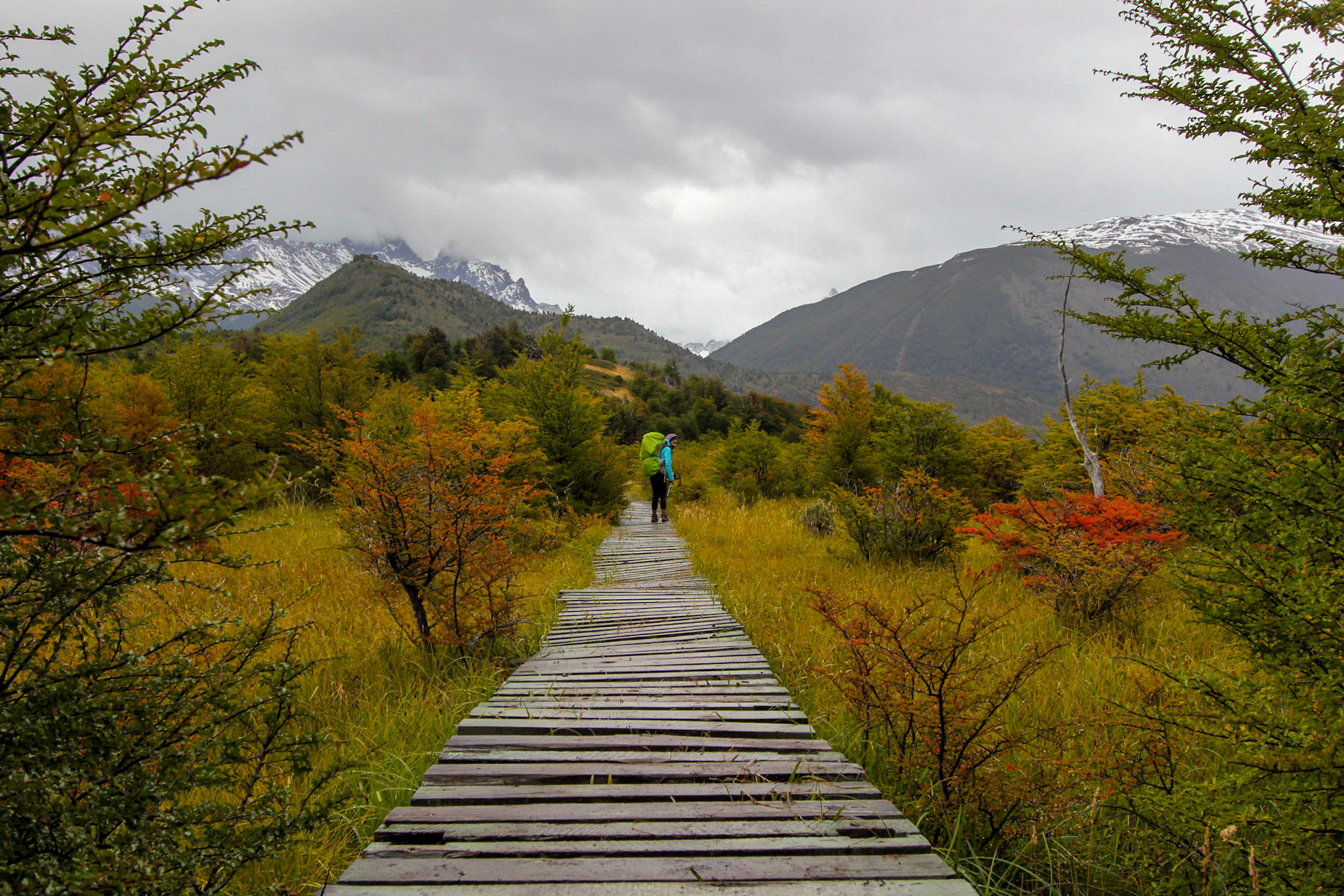 Torres del Paine