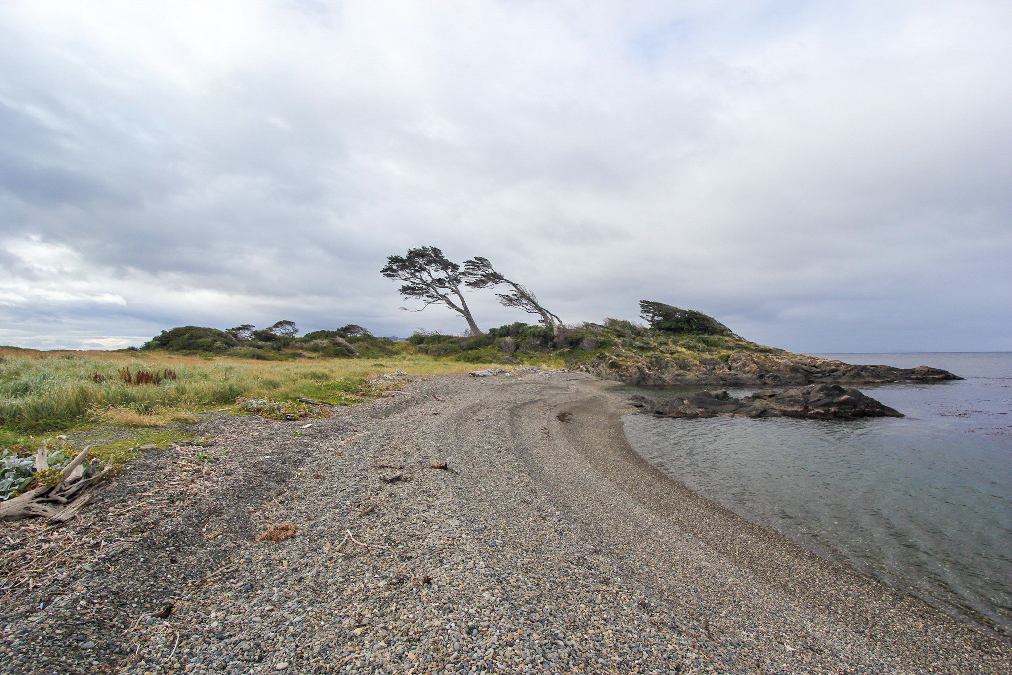Cabo Froward