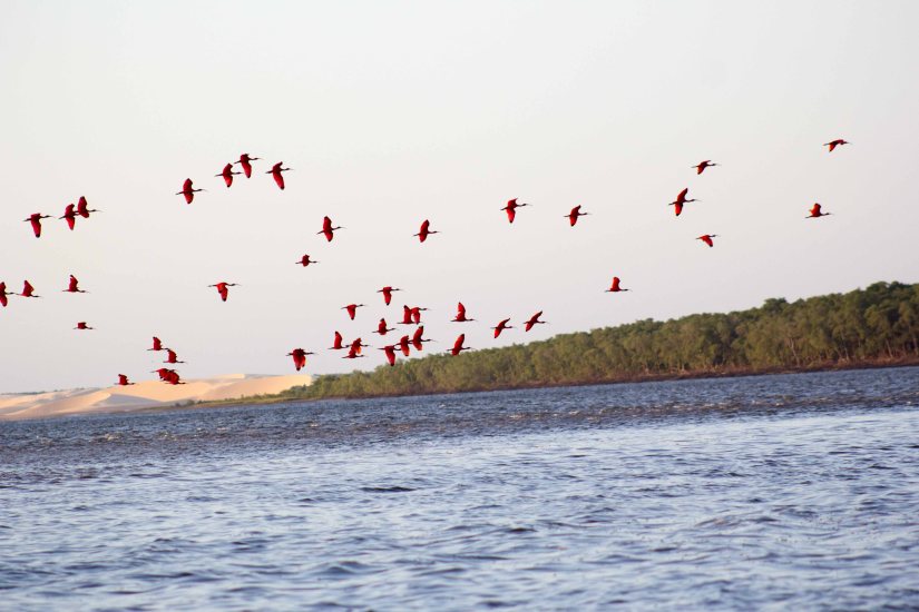 Nordeste_20180718_173527