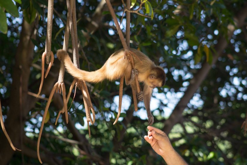 Nordeste_20180725_100600