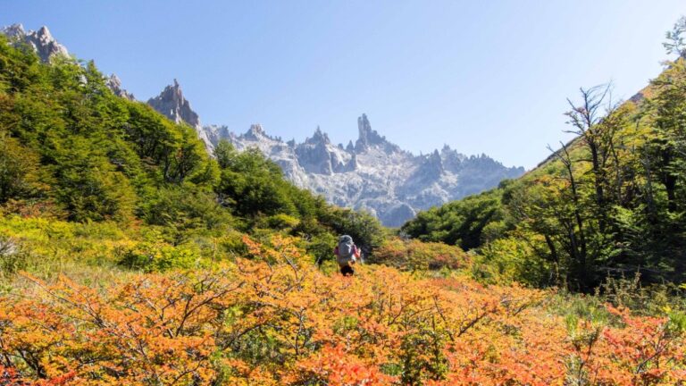 FREY a JAKOB – travessia entre lagunas em Bariloche
