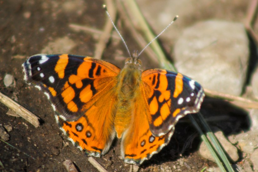 LRM_EXPORT_168796501680764_20190818_211732423