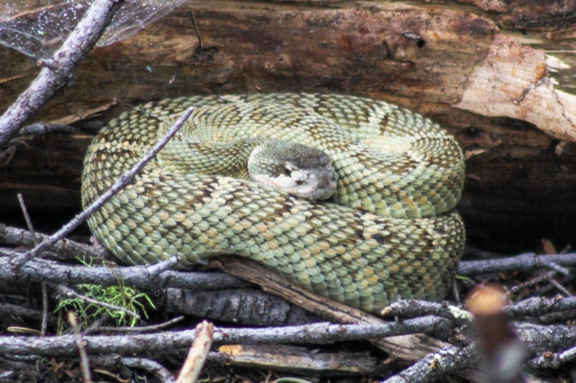 LRM_EXPORT_98639164931173_20190718_214458824