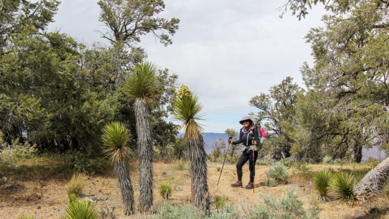 PACIFIC CREST TRAIL #1 – Tehachapi Pass (566 mi) a Walker Pass (652 mi)