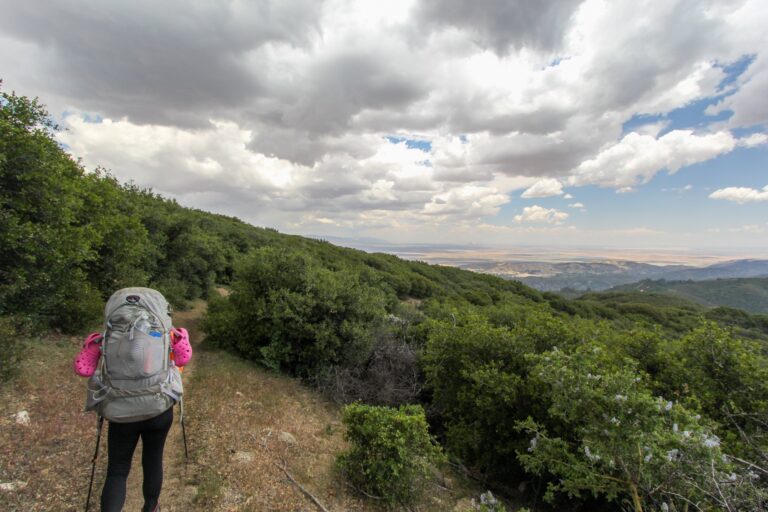 PACIFIC CREST TRAIL #3 – Hiker Town (518 mi) a Green Valley (478 mi)