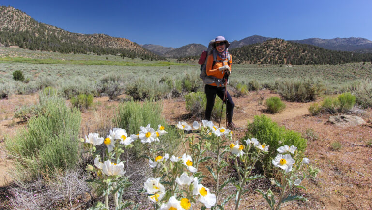 PACIFIC CREST TRAIL #7 – Walker Pass (652 mi) a Kennedy Meadows (702 mi)