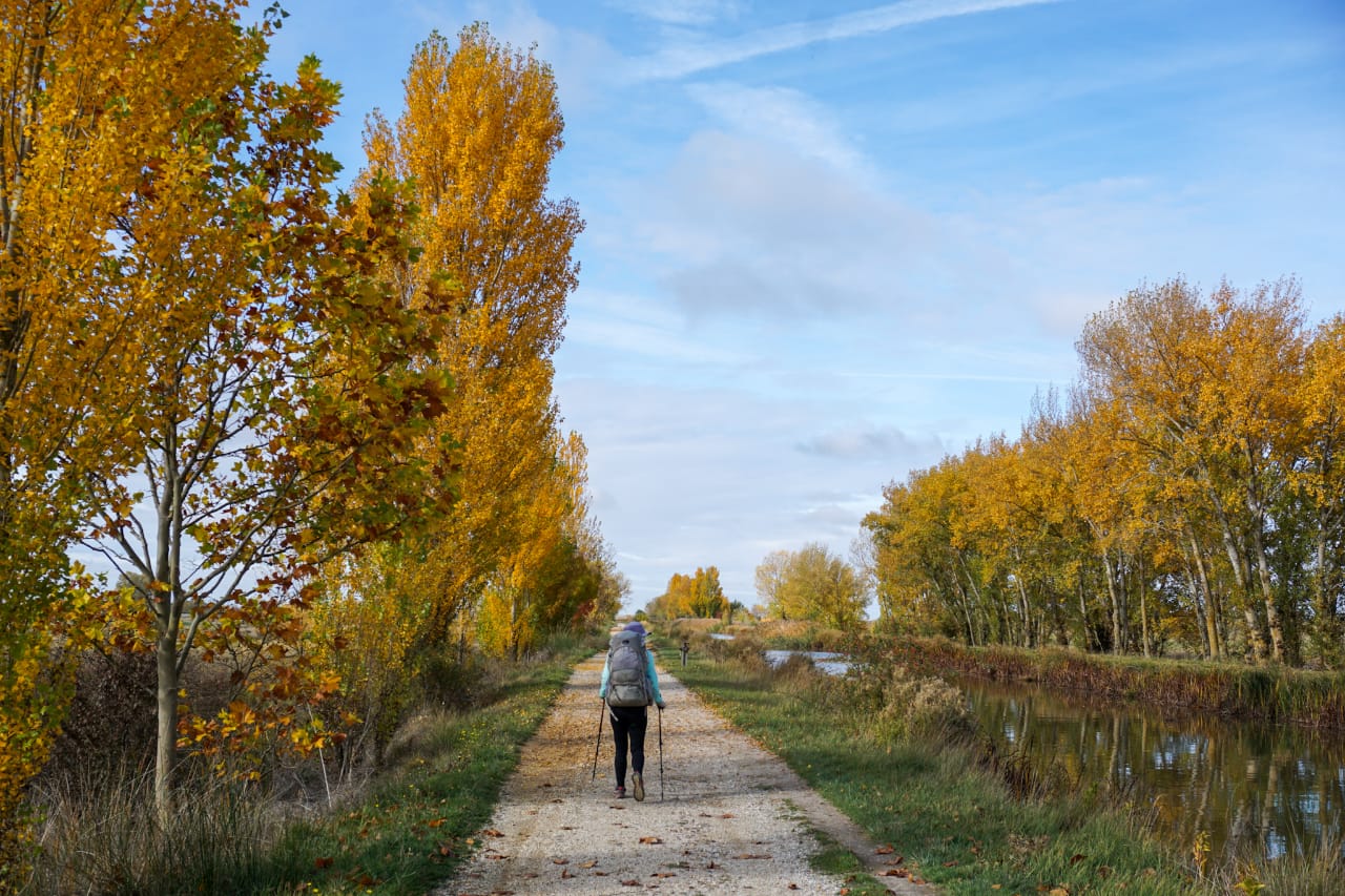 Canal de Castilla.jpg