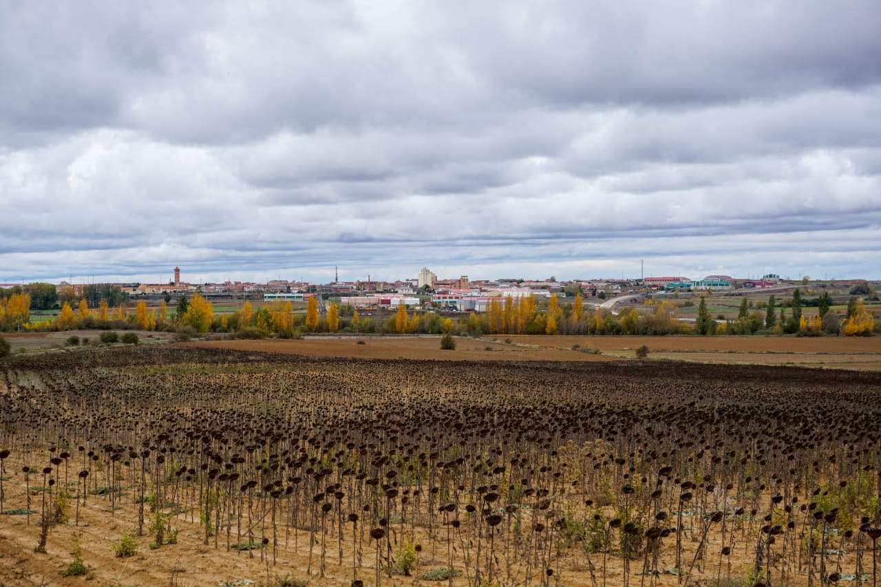Caminho de Santiago de Compostela