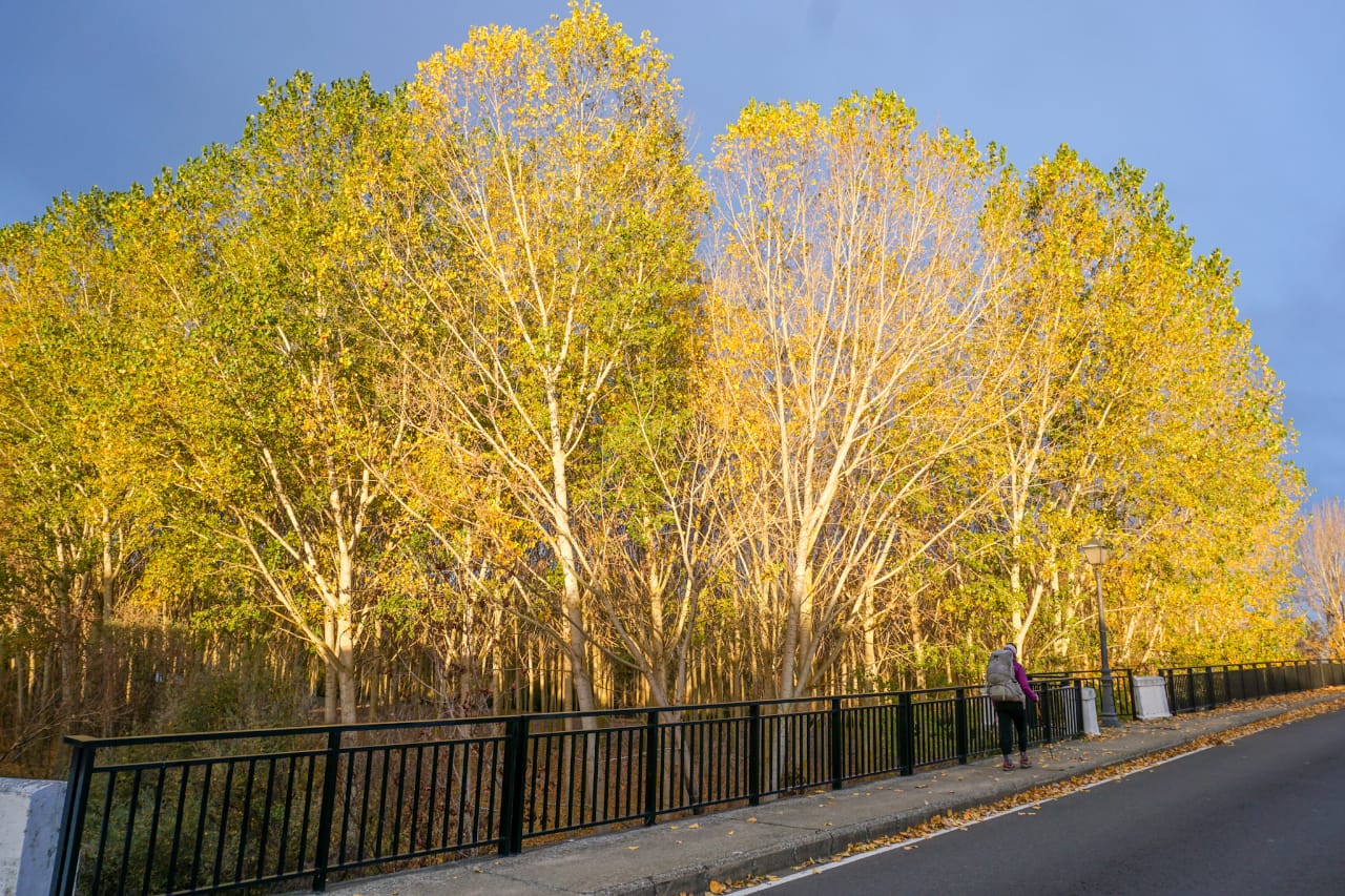 Caminho de Santiago de Compostela