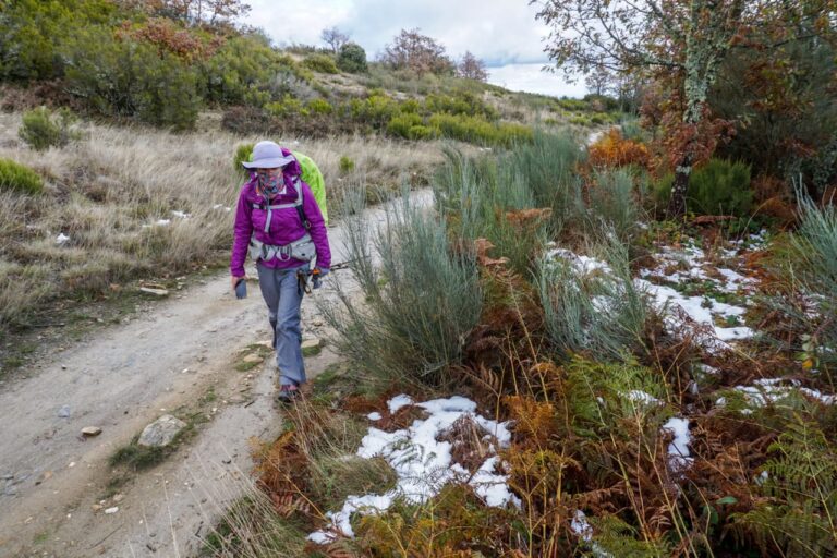 CAMINHO DE SANTIAGO DE COMPOSTELA – caminhando na província de León
