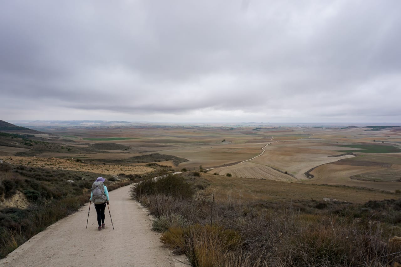 Meseta 1