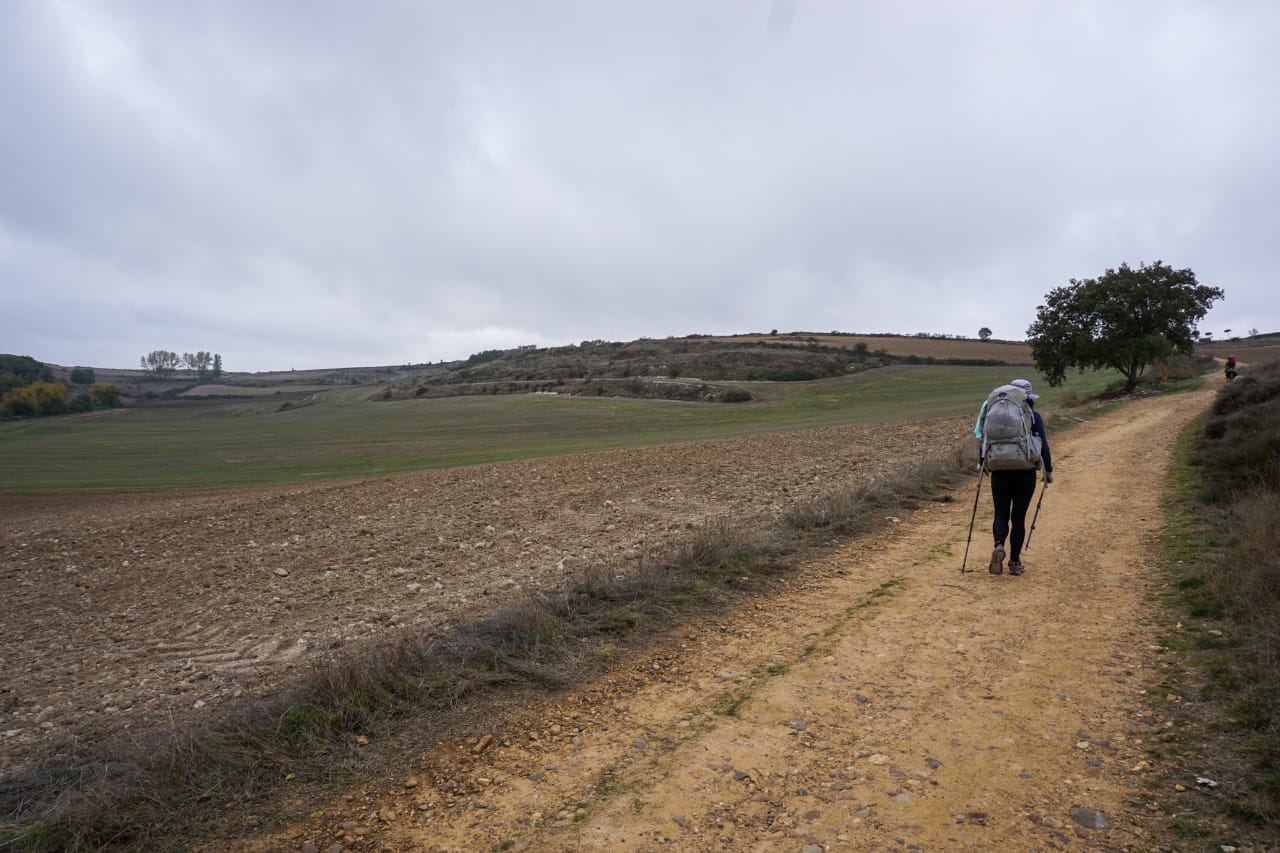 Meseta 3