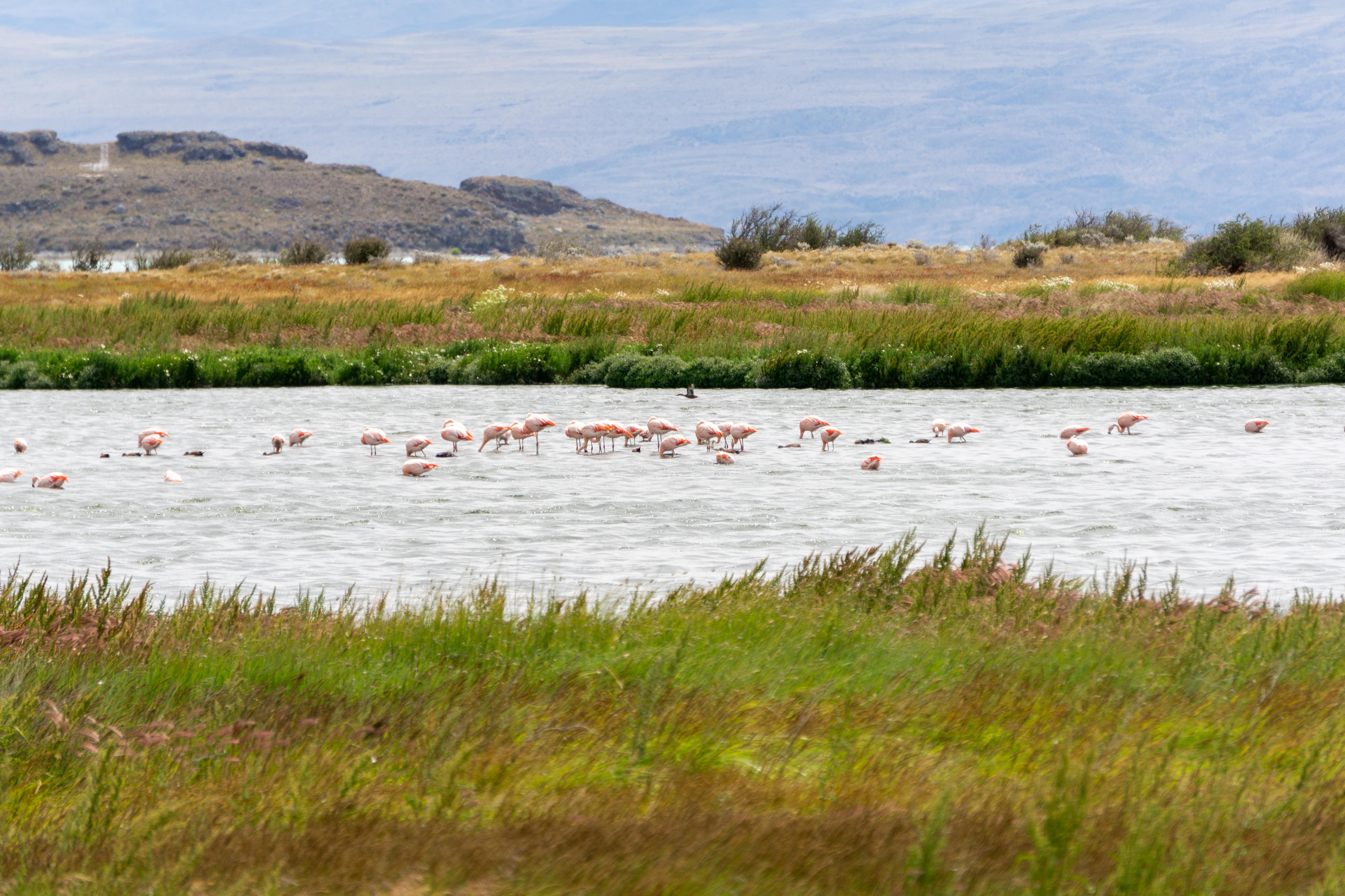 Patagonia Argentina El Calafate