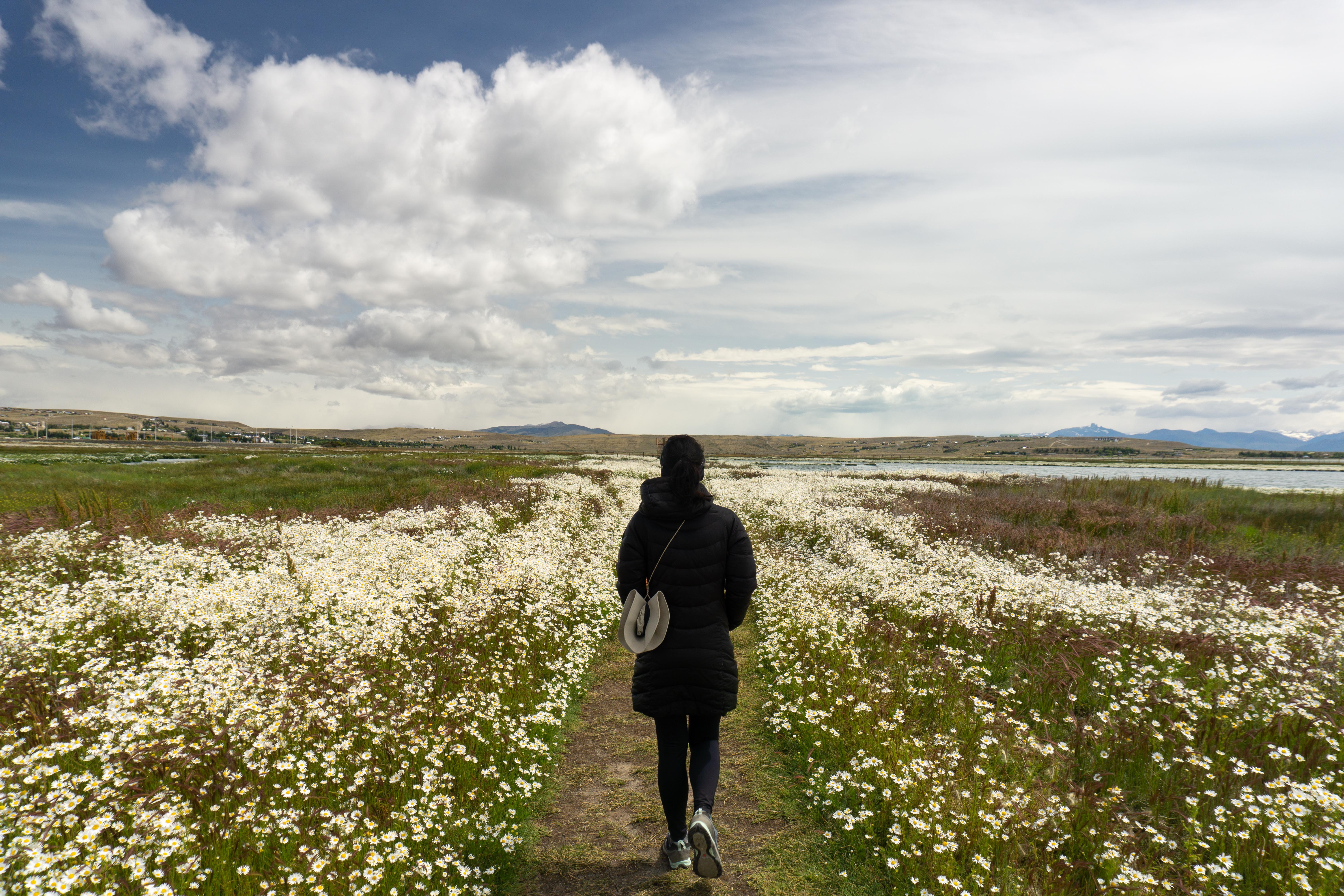 Patagonia Argentina El Calafate