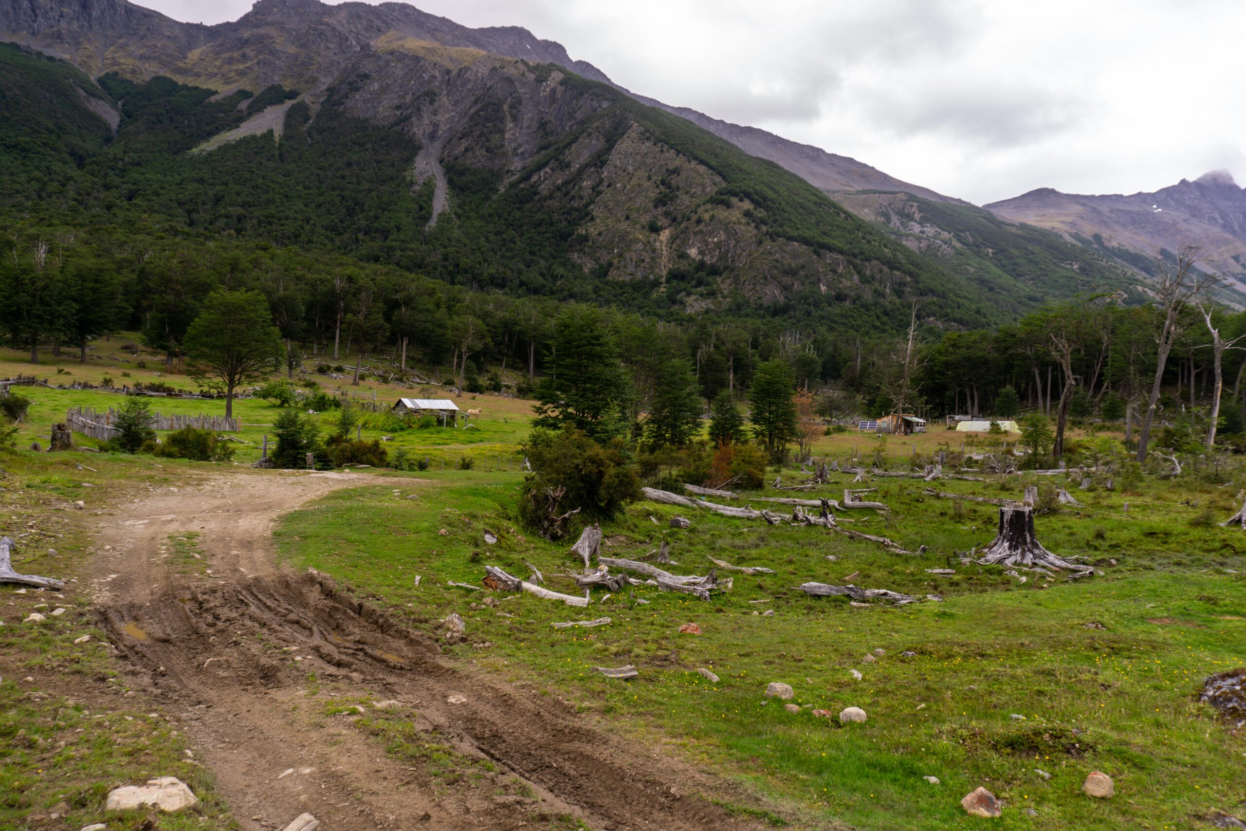 Patagonia_Chile_Villa OHiggins_Carretera Austral