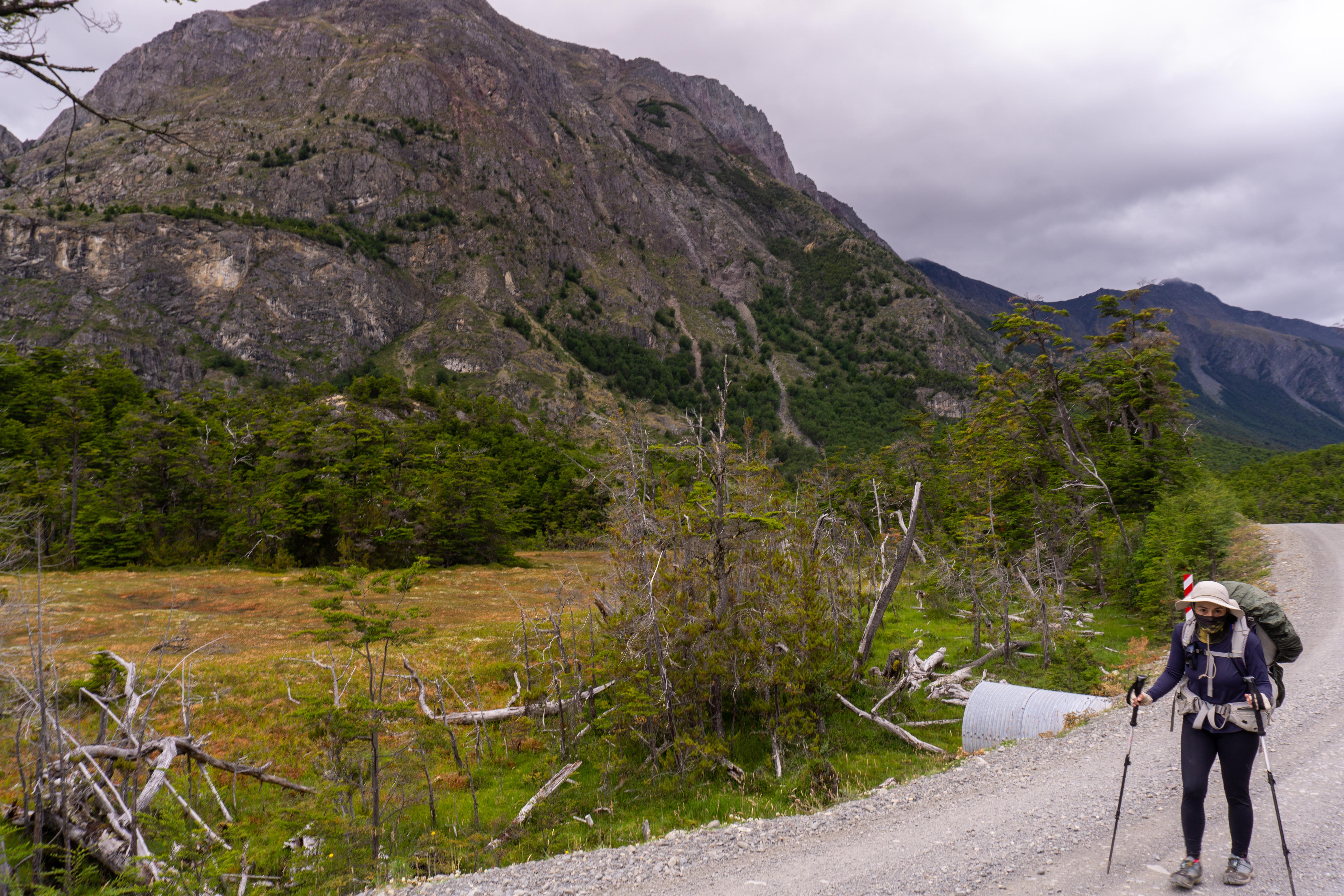 Patagonia_Chile_Villa OHiggins_Carretera Austral_Coc